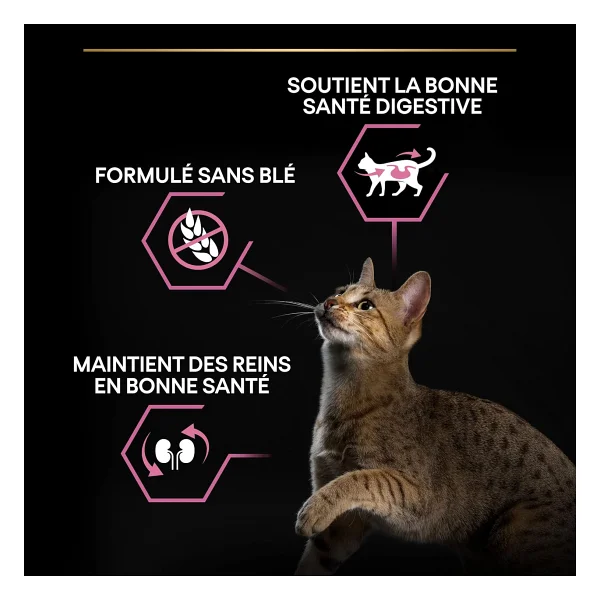 Pro Plan Delicate Kuzu Etli 10 kg Yetişkin Kedi Maması - Görsel 8
