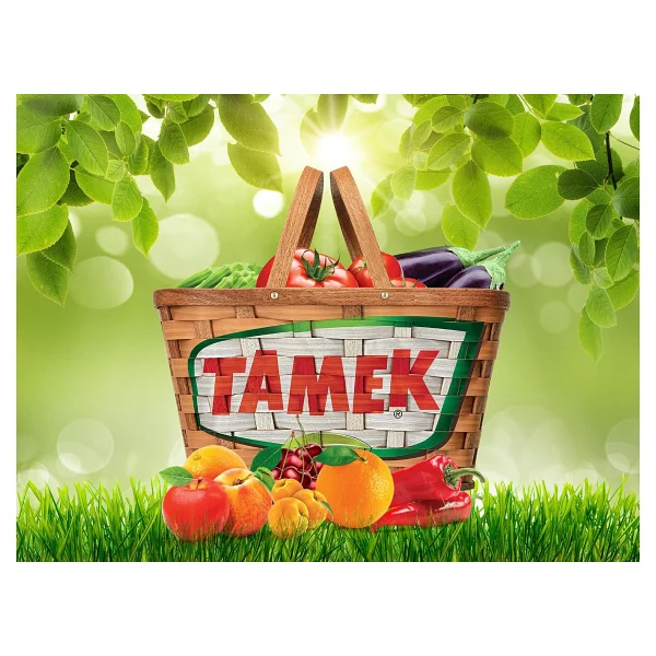 Tamek Meşhur Kahverengi Şişe 200 Ml 6'lı Vişne Nektarı - Görsel 3