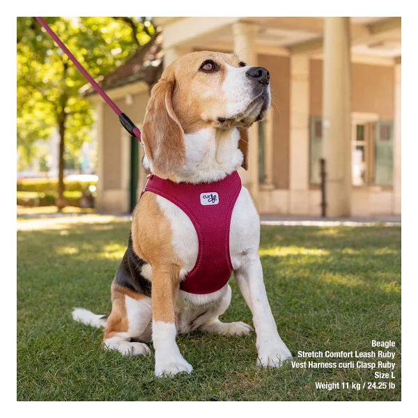 Curli Vest Harness Curli Clasp Air-Mesh Lime S - Görsel 5