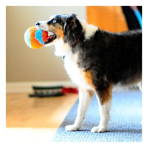 Chuckit Indoor Ball Eve Özel Yumuşak Peluş Köpek Oyun Topu - Görsel 6