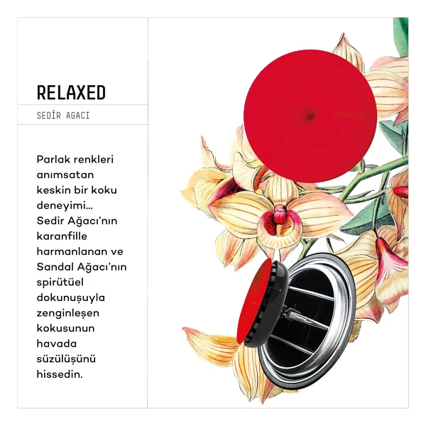 Vavana Relaxed Spin Klima Araba Kokusu 3 adet - Görsel 3