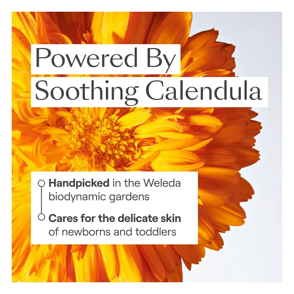 Weleda Baby Calendula Organik Bebek Saç Ve Vücut Şampuanı 200 Ml - Görsel 6