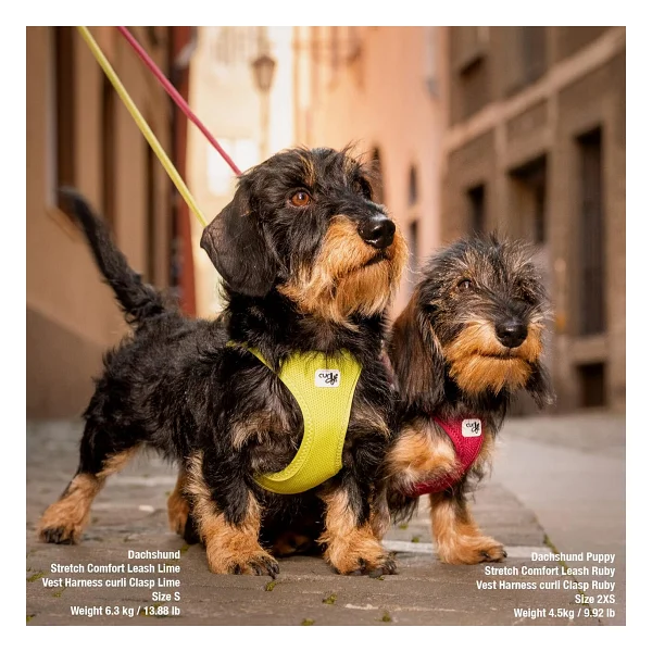 Curli Vest Harness Curli Clasp Air-Mesh Lime S - Görsel 4