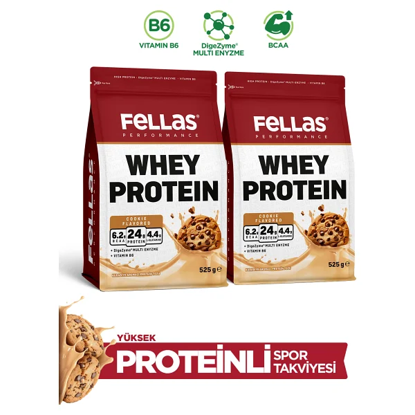 Fellas Performance 525 Gr 2 Adet Whey Protein Tozu - Görsel 9