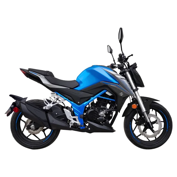 Arora Ck250 249 Cc Touring Motosiklet - Görsel 3