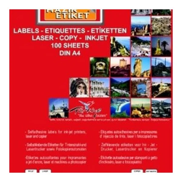 Tanex Tw-2024 64x34 Mm A4 Lazer Etiket - Görsel 5