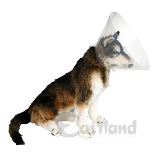 Eastland Yakalık(Elizabet) 30 Cm - Görsel 2
