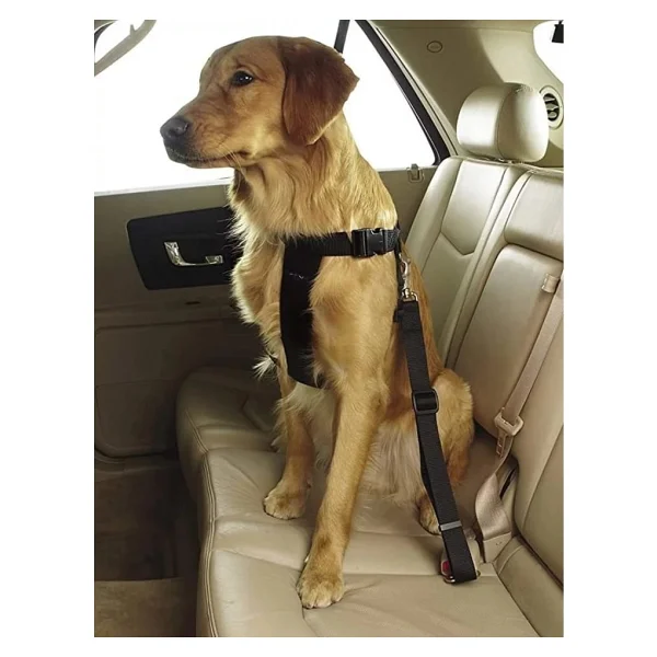 Tineke Evcil Hayvan Araç Emniyet Kemeri Kedi Köpek Araba Oto Tasması Oto Aksesuarları Siyah - Görsel 2