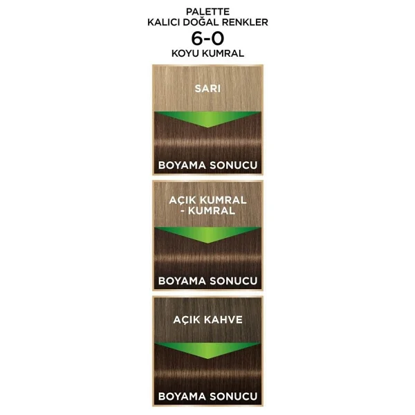 Palette Kalıcı Doğal Renkler 6.0 Koyu Kumral Saç Boyası - Görsel 5