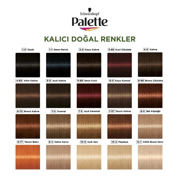Palette Kalıcı Doğal Renkler 6.0 Koyu Kumral Saç Boyası - Görsel 8