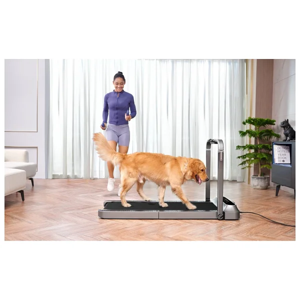 Kingsmith Walkingpad R2 Pro Katlanabilir Koşu Bandı - Görsel 4