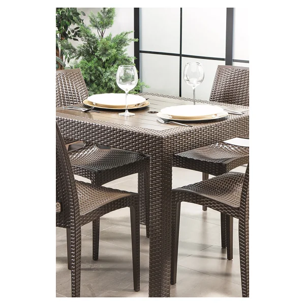Mobetto Rattan Bahçe Sandalyesi 4 Adet - Kahve - Görsel 4