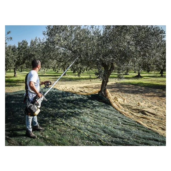 Cifarelli Sc 605 Zeytin Silkeleme Makinesi - Görsel 4