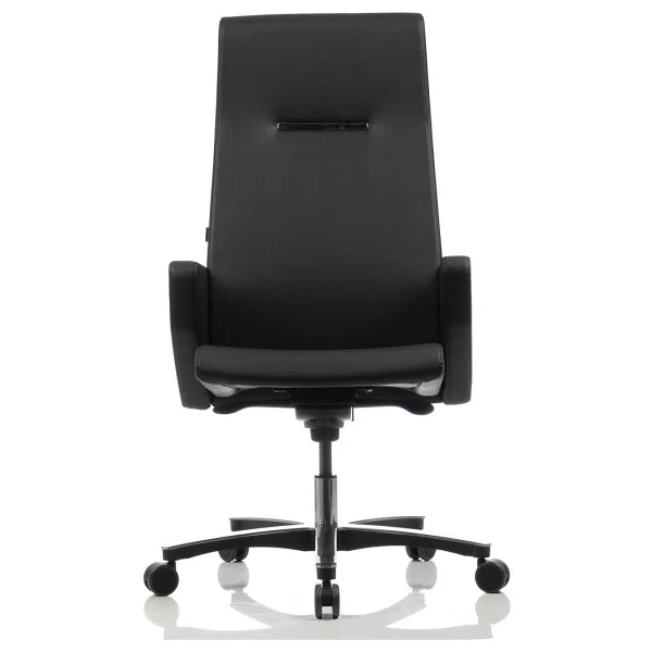 Bürosit Throne 9 Alüminyum Yönetici Koltuğu - Görsel 5