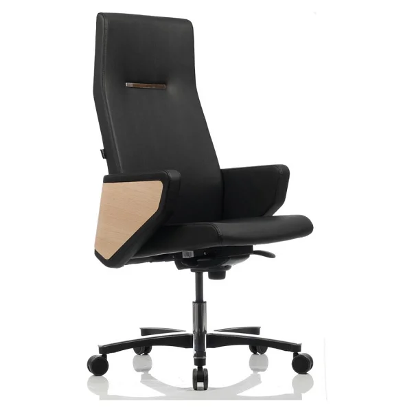 Bürosit Throne 9 Alüminyum Yönetici Koltuğu - Görsel 2