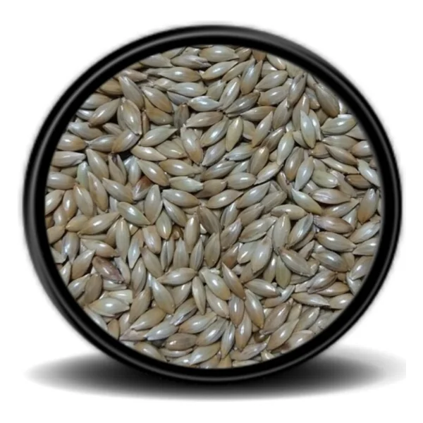 Vivid Sade Kanarya Yemi Aspur 250 Gr - Görsel 2