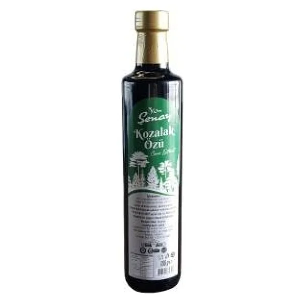 Konşenay 700 Gr Çam Kozalağı Özü - Görsel 2