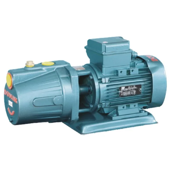 Domak Jet100 220 V 1 Hp Monoblok Elektropomp - Görsel 3