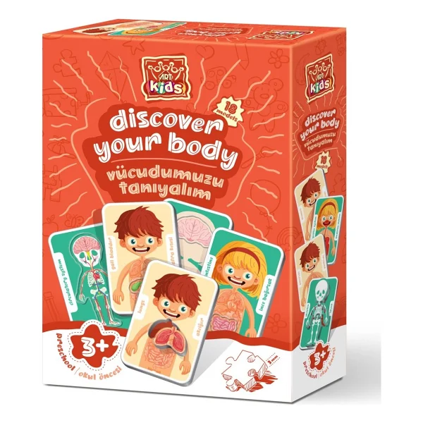 Art Kids Vücudumuzu Tanıyalım 54 Parça Puzzle 5830 - Görsel 5