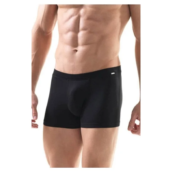 Blackspade Silver 9310 Gri Erkek Boxer - Görsel 4