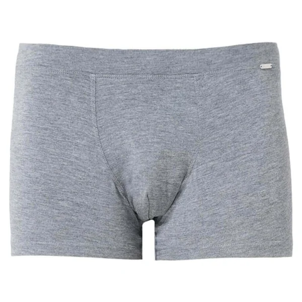 Blackspade Silver 9310 Gri Erkek Boxer - Görsel 5