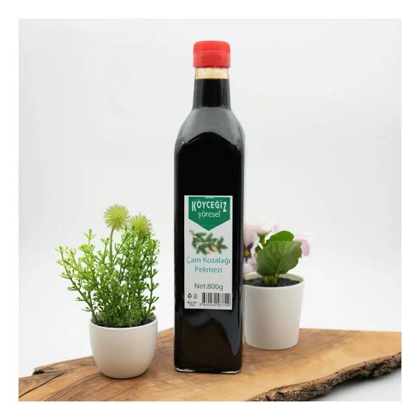 Köyceğiz Yöresel Çam Kozalağı Pekmezi 700 Gr - Görsel 6