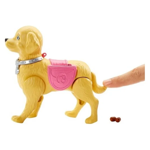 Barbie Ve Tuvalet Eğitimindeki Köpeği Dwj68 - Görsel 3