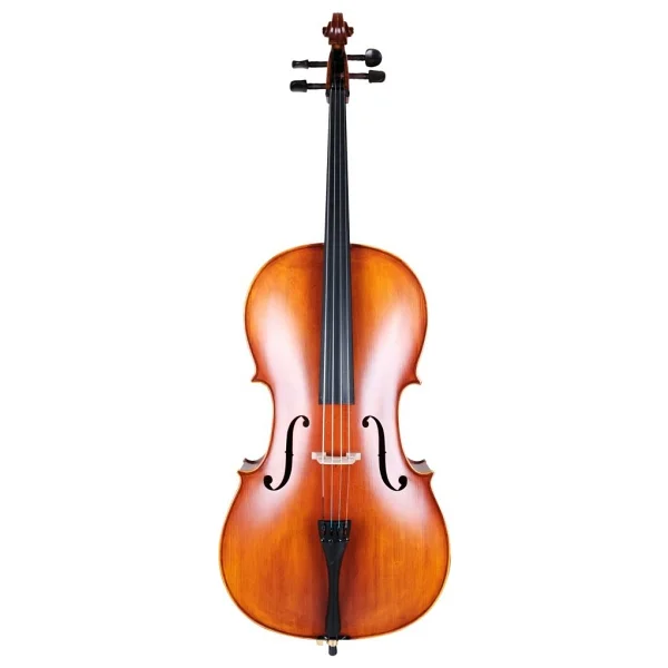 Carlovy Cla9 4/4 Çello - Görsel 3