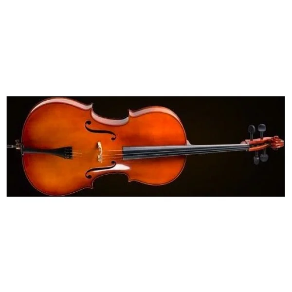 Valencia Ce400g14 1/4 Çello - Görsel 2