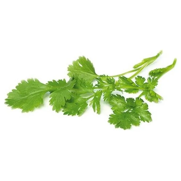 Mutlu Sebzeler 25 Gr 1 Paket Kişniş - Görsel 2