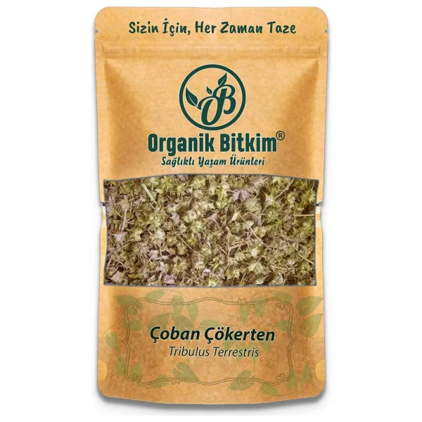 Organik Bitkim Çoban Çökerten (Tribulus) 500 gr - Görsel 3