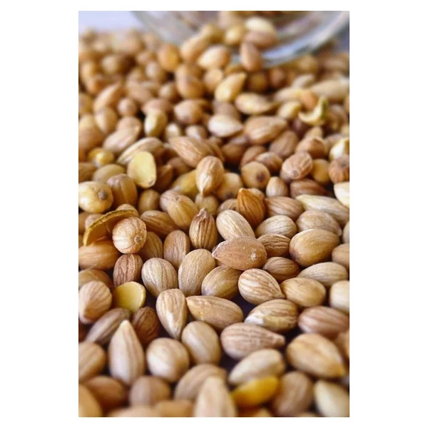 Organik Bitkim Mahlep (Toz) 250 Gr - Görsel 3