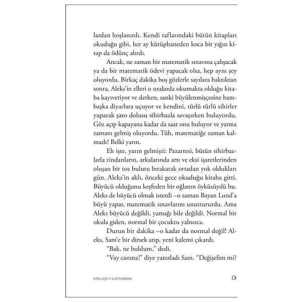 Kraliçeyi Kurtarmak - Vladimir Tumanov - Görsel 7