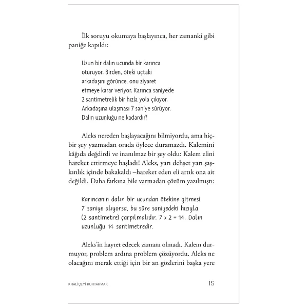 Kraliçeyi Kurtarmak - Vladimir Tumanov - Görsel 9
