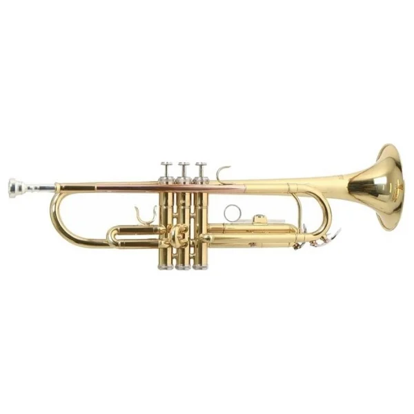 Roy Benson Tr-101 Trompet - Görsel 2