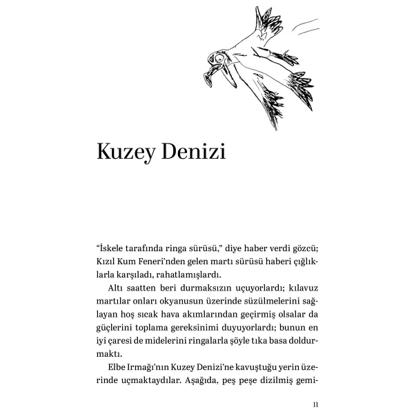 Martıya Uçmayı Öğreten Kedi - Luis Sepulveda - Görsel 6