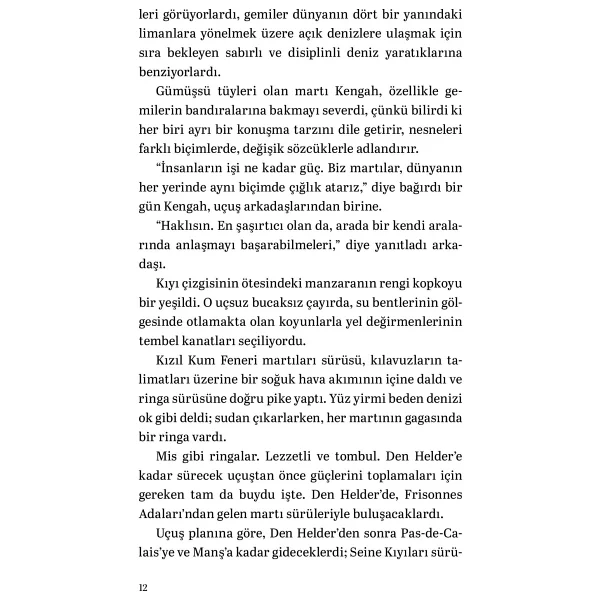 Martıya Uçmayı Öğreten Kedi - Luis Sepulveda - Görsel 7