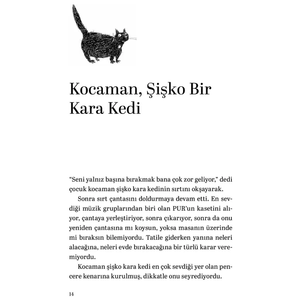 Martıya Uçmayı Öğreten Kedi - Luis Sepulveda - Görsel 9