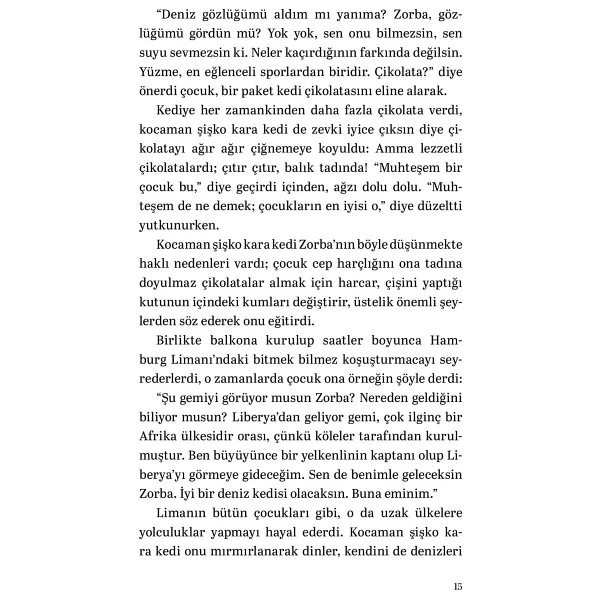 Martıya Uçmayı Öğreten Kedi - Luis Sepulveda - Görsel 10