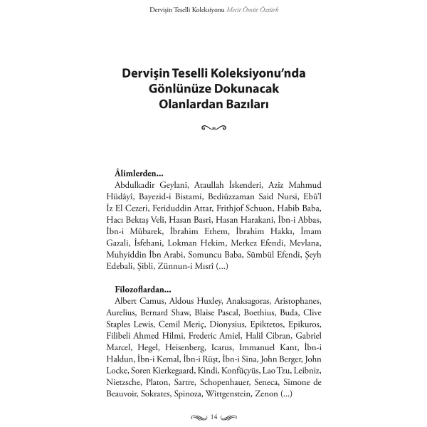 Dervişin Teselli Koleksiyonu - Mecit Ömür Öztürk - Görsel 4