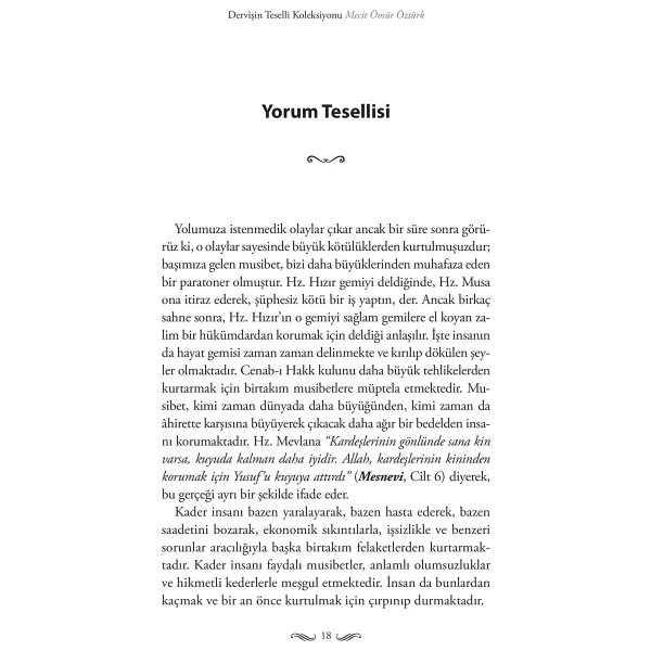 Dervişin Teselli Koleksiyonu - Mecit Ömür Öztürk - Görsel 8