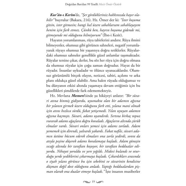 Dervişin Teselli Koleksiyonu - Mecit Ömür Öztürk - Görsel 9
