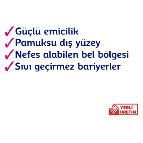 Giggles Emici Külot Büyük Boy L 30'lu 4 Adet Hasta Bezi - Görsel 3
