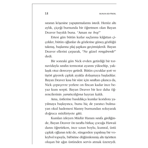 Bunun Adı Findel - Andrew Clements - Görsel 4