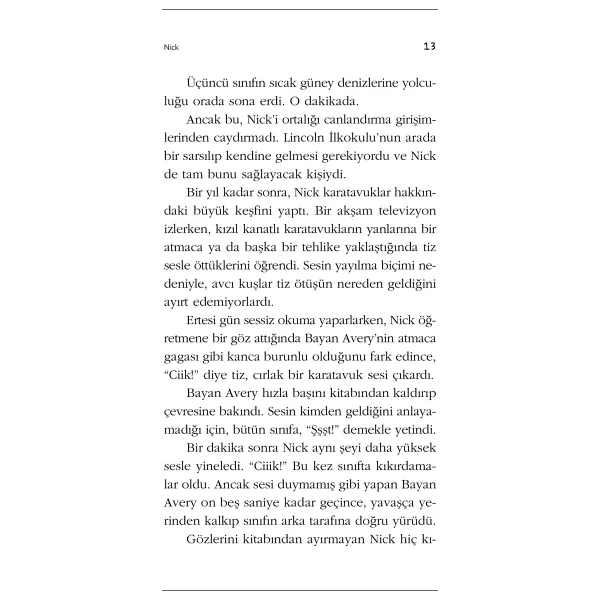 Bunun Adı Findel - Andrew Clements - Görsel 5