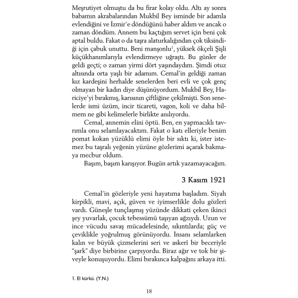 Ateşten Gömlek - Halide Edib Adıvar - Görsel 5