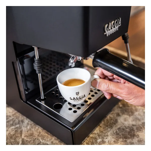 Gaggia New Classic Evo 2023 Rı9481/14 Siyah Espresso Makinesi - Görsel 4