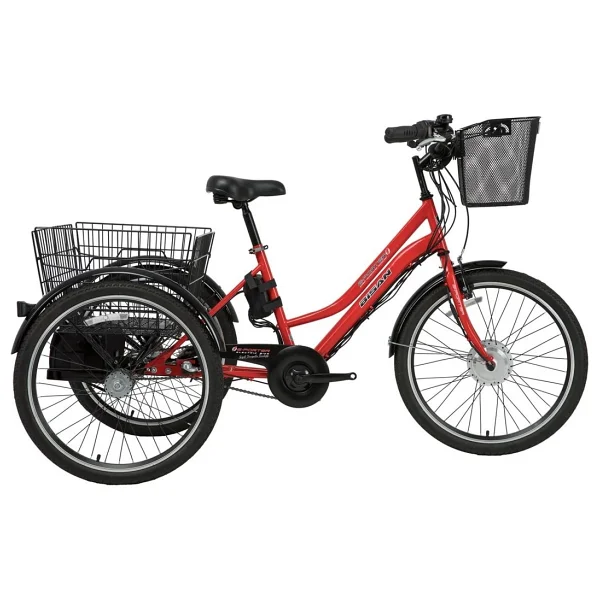 Bisan E-Porter 250 W 3 Tekerlekli Elektrikli Bisiklet - Görsel 3