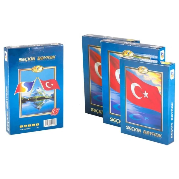 Seçkin Türk Bayrağı 300x450 Cm - Görsel 2