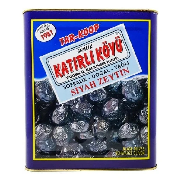 Katırlı Köyü 10 Kg Gemlik Teneke Siyah Zeytin - Görsel 2